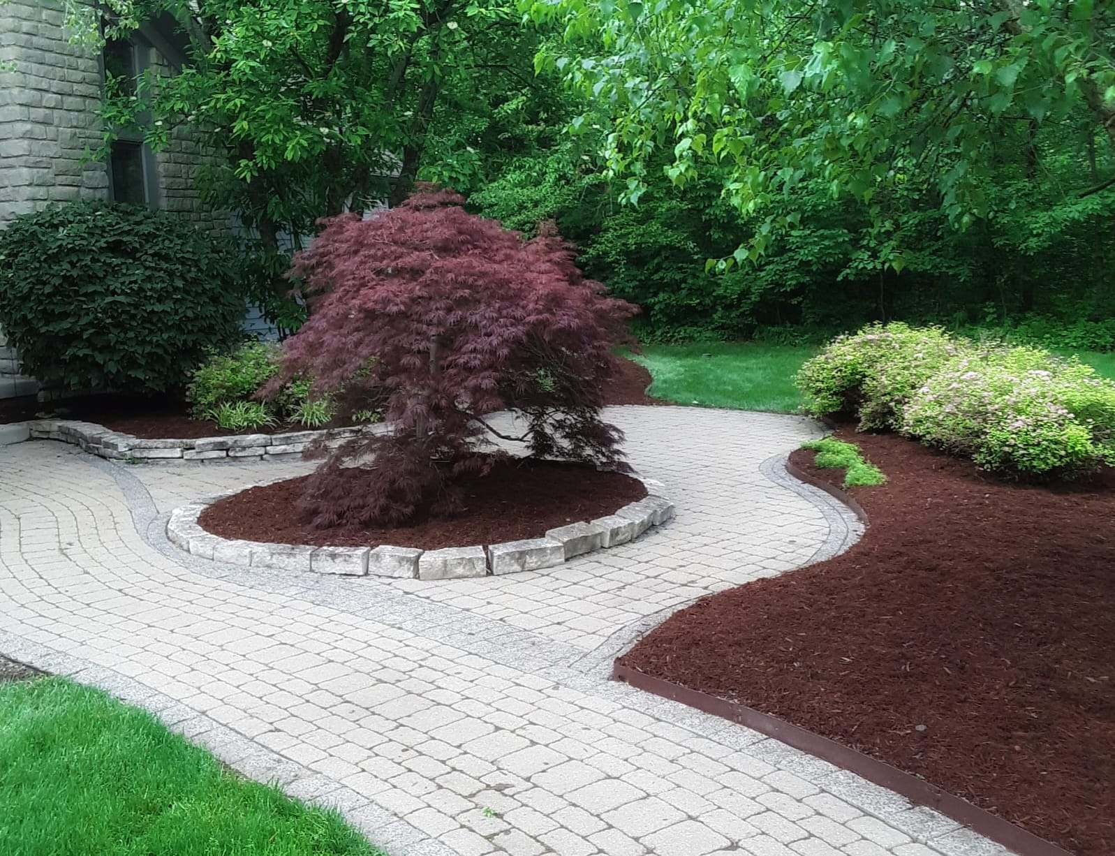 Freshly mulched beds with paver walkway